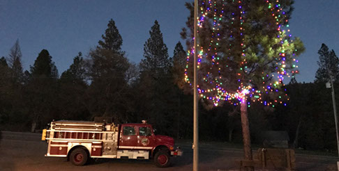Christmas tree lighting